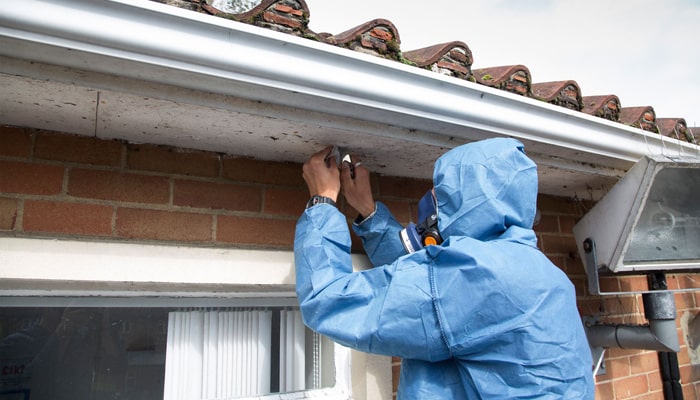 Do You Need An Asbestos Survey When Buying a House? | Core Surveys