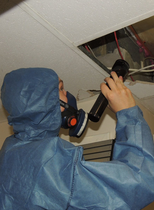 Asbestos management review being carried out in Surrey by Core Surveys