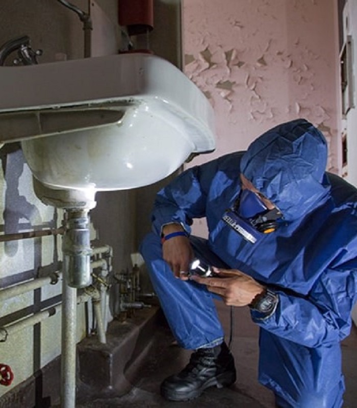 1 asbestos specialists in residential renovation
