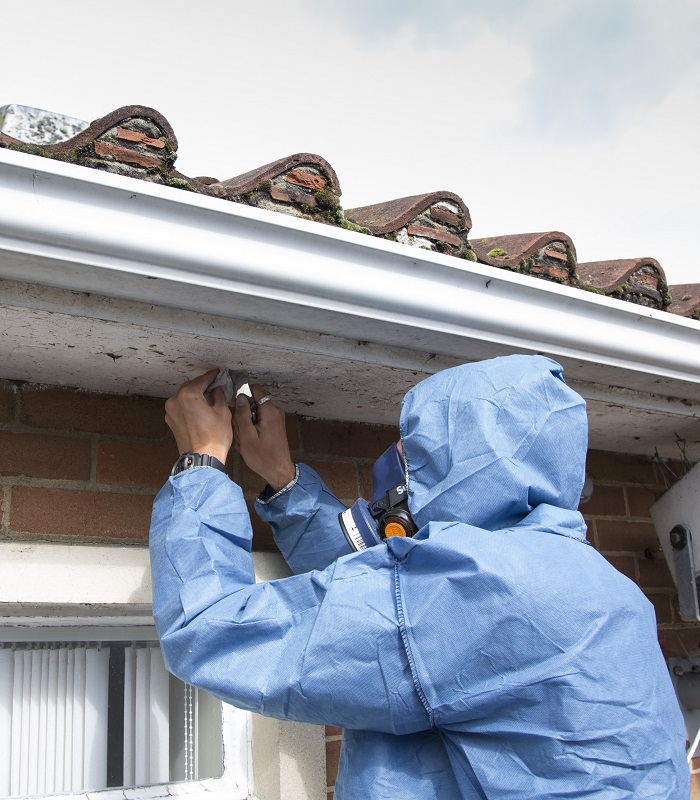 asbestos specialists in residential renovation