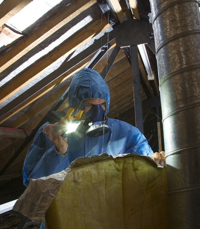 asbestos specialists in residential renovation